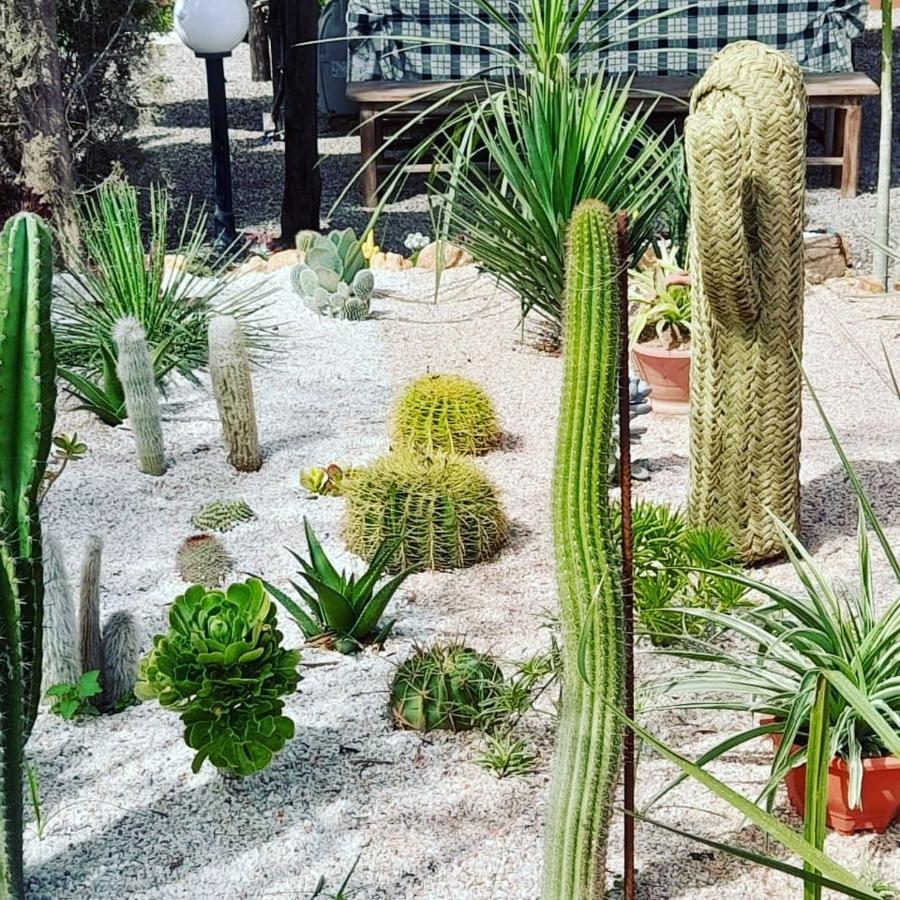 Appartamento Petit Paradis Sidi Bibi Esterno foto